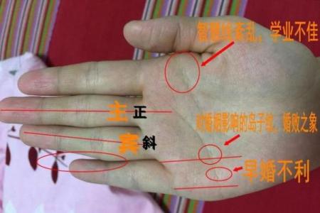 《手相学习百科》：手纹看退休