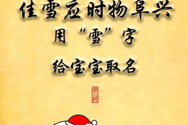 2019年大雪节气出生带雪字取名女孩名字，关于雪的唯美名字姓名