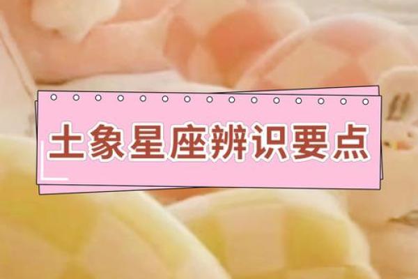 土象星座是什么意思 土象星座的人有什么特征