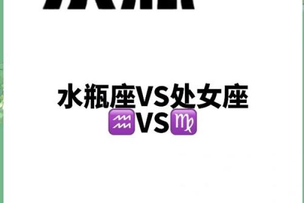 水瓶女最合适哪个星座男的