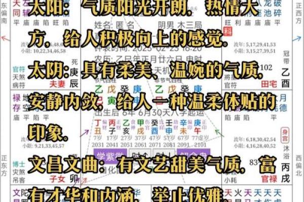 姜子牙紫薇斗数