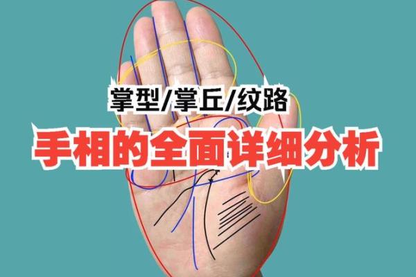 《手相学习百科》：掌丘