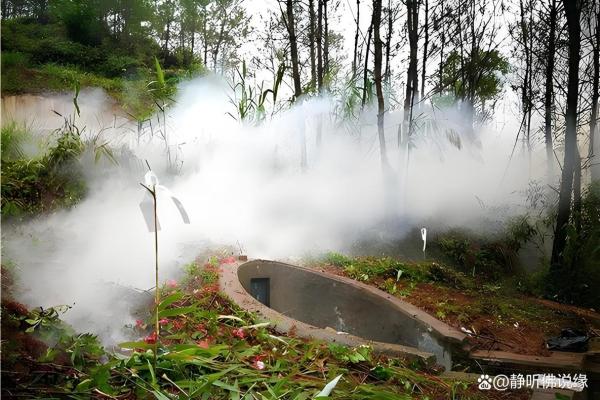传说中的风水祖坟故事都有哪些