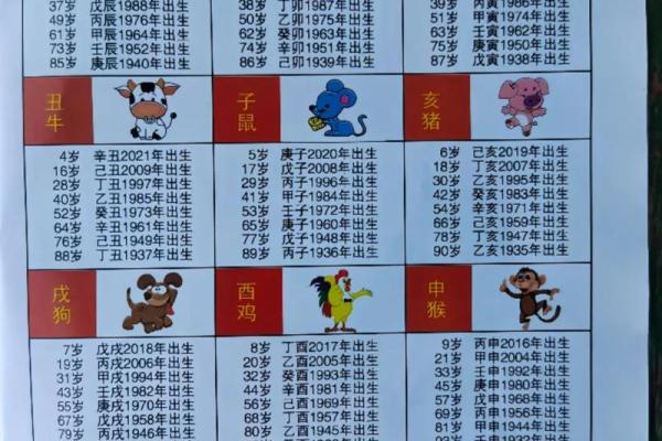 八字命理-2024年农历八月十七的孩子命运详解