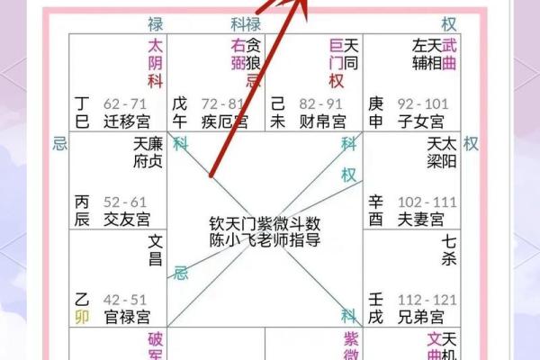 紫微斗数引出禄 紫薇命盘禄是什么意思？