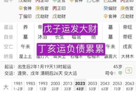 八字己巳日