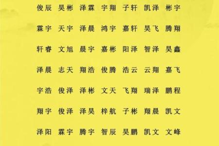 2019年6月22号子时出生的男孩应该起什么样的名字姓名
