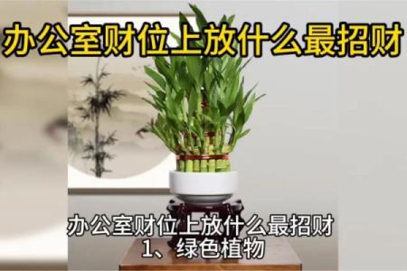 老板办公室风水这样布局 招财又旺运 赶紧学起来