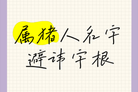 2月份出生的属猪男孩起什么名字好姓名