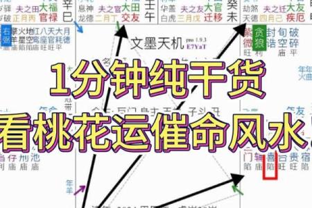 紫薇斗数看耳鸣