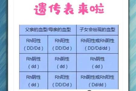 孕妇为什么要检查血型