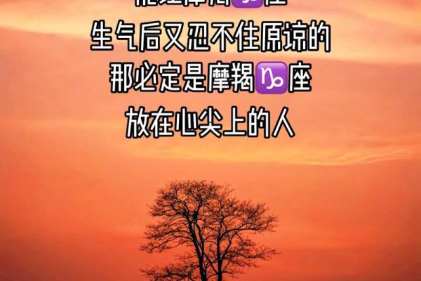 唯一能治住摩羯的星座警告 唯一能治住摩羯座的星座