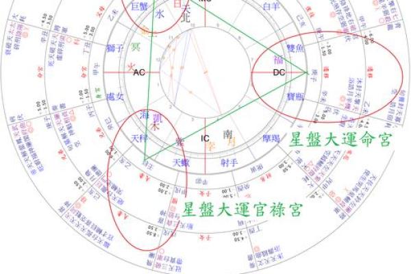 丙申年大富大贵八字组合