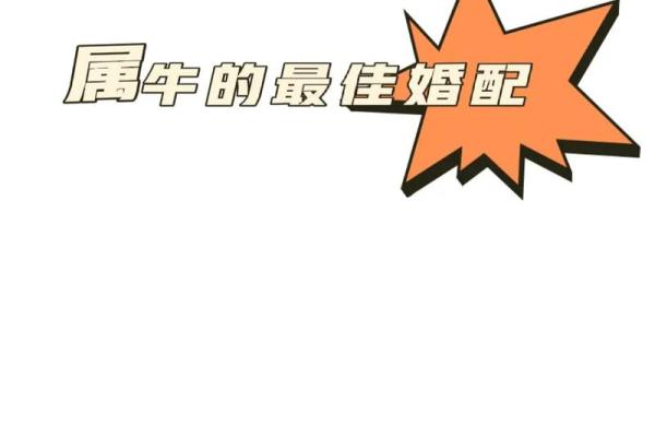 牛的配对属相婚配表