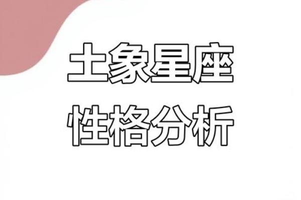 土象星座人才：性格特点、解析及职业推荐