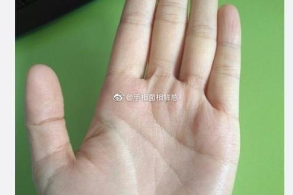 八字算命术和手相面相哪个更准确