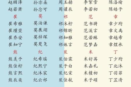 属龙辰时出生的男孩起什么名，用什么字姓名