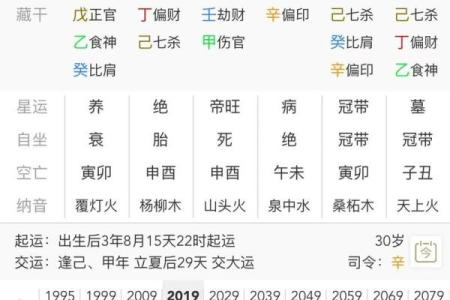 八字取象法 第13集 如何用八字取象