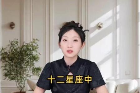 看12星座谁最会说谎