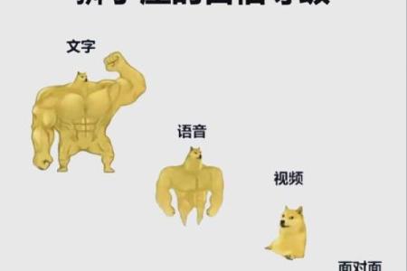 狮子座最合不来的三大星座 狮子和什么最配对