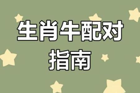 牛的配对属相婚配表