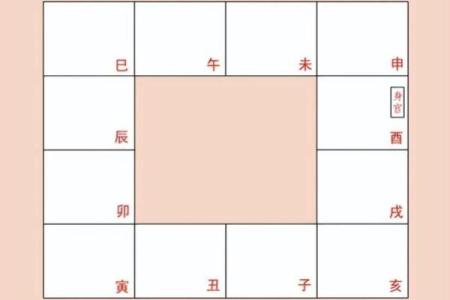 人生紫薇斗数