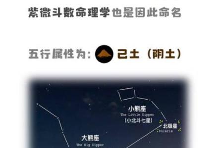 紫微斗数之各星曜所主行业： 紫微星