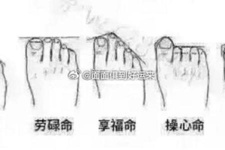 看相算命：你是这种脚相的人吗？