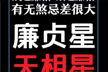 紫薇斗数看官司输赢