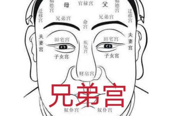 眉毛算命