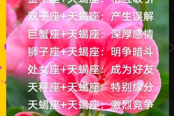 天蝎座工作上和哪个星座最合