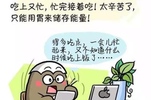 厨艺好，暖人心胃的星座好男人