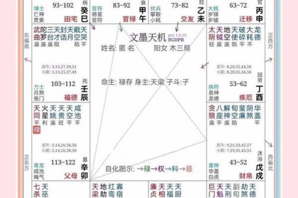 紫薇斗数婚姻配对