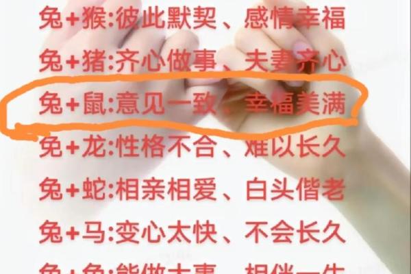 属鼠人姻缘配对 属鼠的人姻缘怎么样？