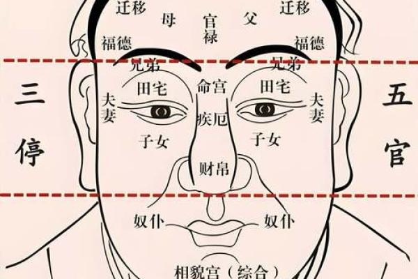 如何祛除脸上八字，让你的面相更加秀气？