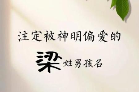梁姓女孩名字大全-梁姓女孩起名字大全-梁姓名字大全姓名