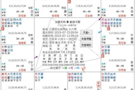 情商高的紫薇斗数