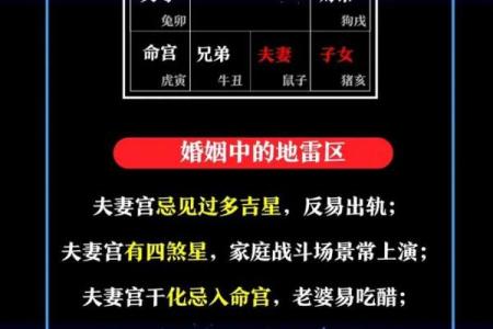 紫薇斗数婚姻配对