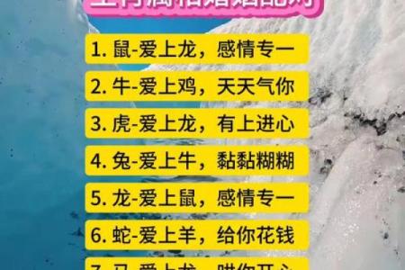 属鼠人姻缘配对 属鼠的人姻缘怎么样？