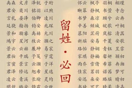 2019年5月14号卯时出生的男孩如何起名姓名