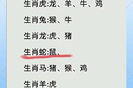十五生肖：探索属鼠者的个性特征和相性配对