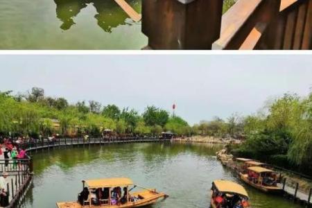 洛阳市哪有算命
