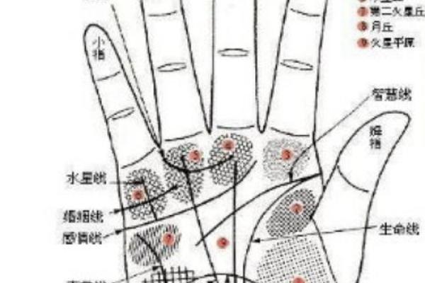 手相风水：生命线与智慧线相交的六个特点