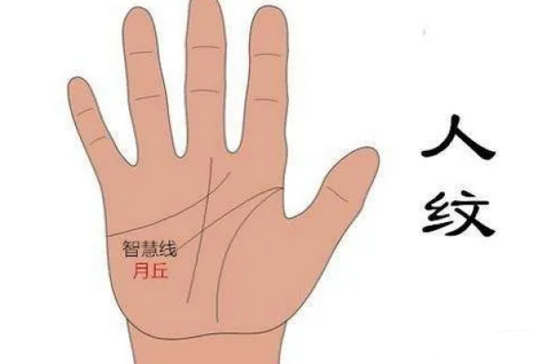 胎记算命图解好坏