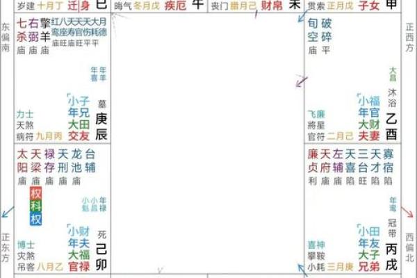 逆天改运？《飞星紫微斗数》古籍揭秘命运织锦，一册在手扭转乾坤