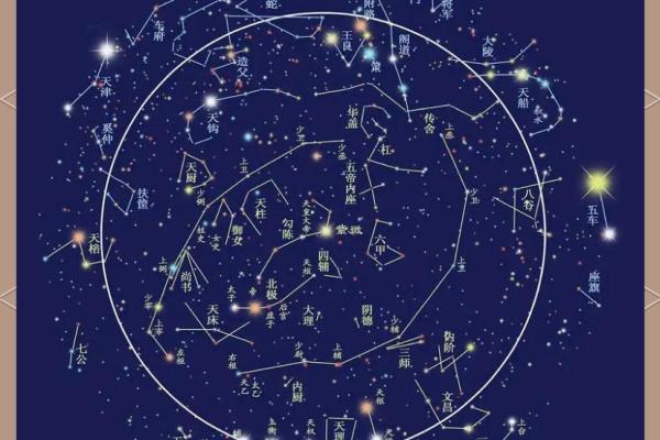 紫薇斗数子女宫在子