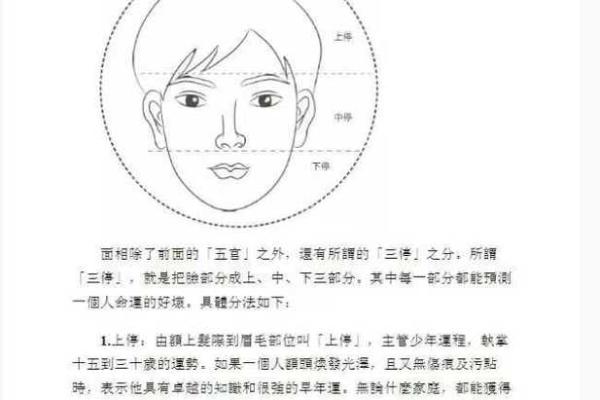 面相算命入门什么是三停 面相基础知识