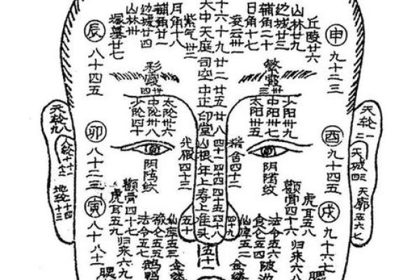 面相算命入门什么是三停 面相基础知识