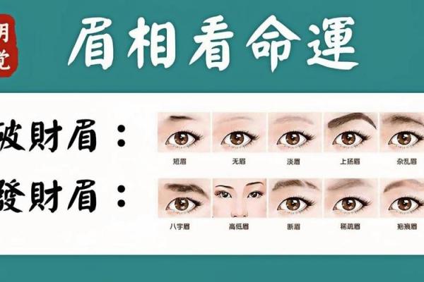 男人眉毛看相算命