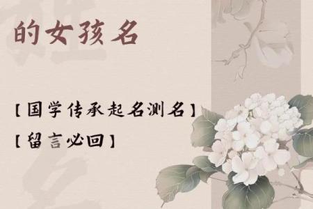 姓名配对的姓氏大全图片 姓名配对正式版下载？